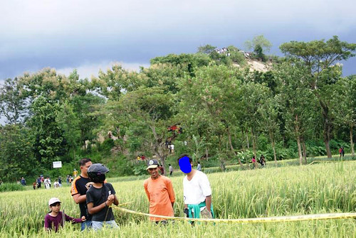 pemilik-sawah-cropcircle