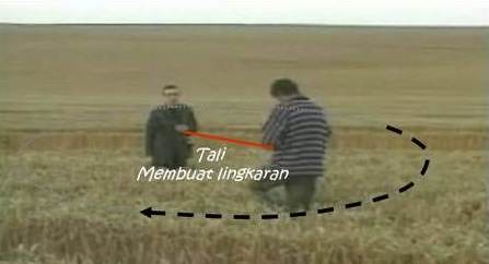 teknik-crop-circle-03.jpg